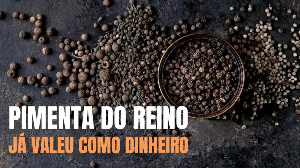 Pimenta do Reino