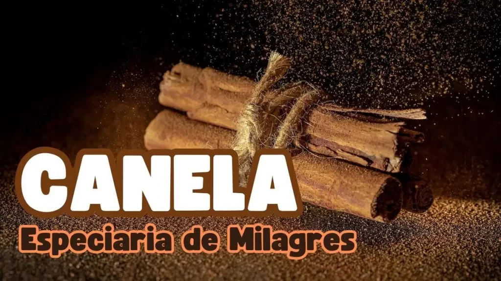 Canela Especiaria de Milagres