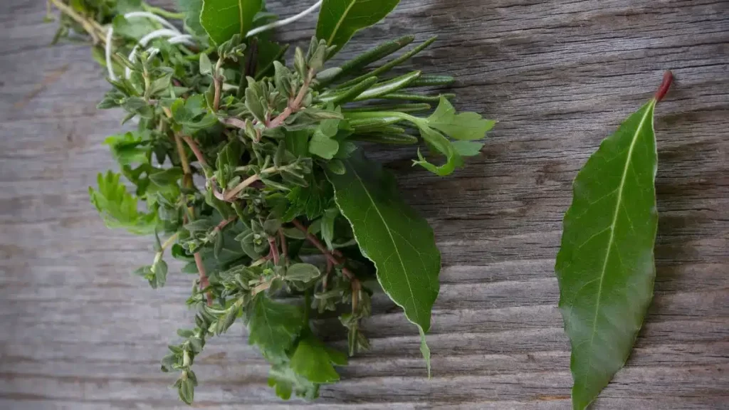 BOUQUET GARNI